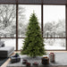 7'6"Hx55"W Camdon Fir Artificial Christmas Tree, Unlit -Green - A860975