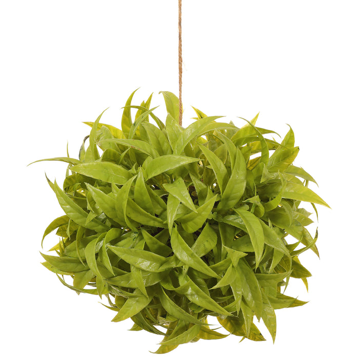 artificial hanging ball plants 7" Hanging Eucalyptus Ball-Shaped Artificial Topiary -Green — Silks Are Forever