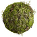 12" Artificial Moss Orb-Shaped Topiary -Green (pack of 4) - AA0023-GR