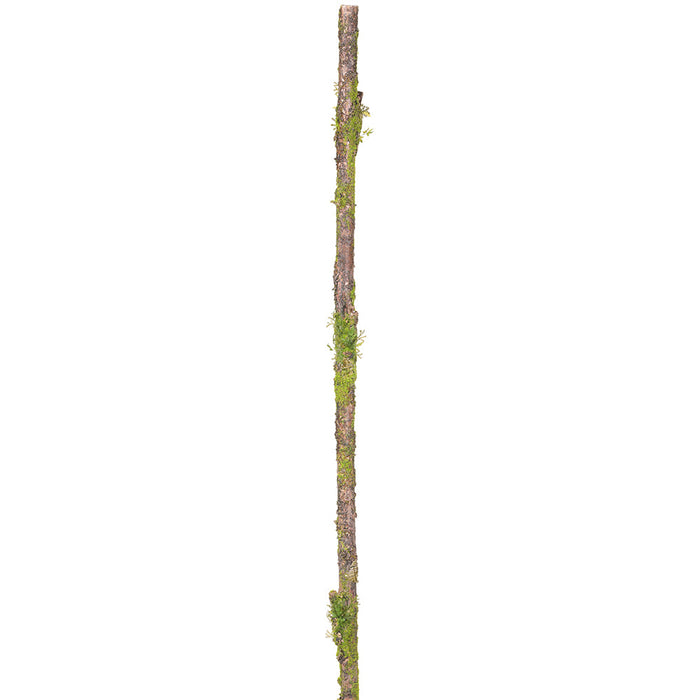 56" Artificial Moss Branch Stem -Green (pack of 12) - AA0024-GR