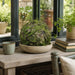 12.5" Moss Ball-Shaped Artificial Topiary -Green (Pack of 4) - AA0032-GR