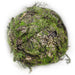 12.5" Moss Ball-Shaped Artificial Topiary -Green (Pack of 4) - AA0032-GR