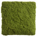16"x16" Moss Pillow-Shaped Artificial Topiary -Green (Pack of 3) - AA0055-GR
