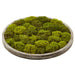 24" Artificial Moss Wall Decor With Wood Frame -Green - AA0056-GR