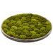 36" Artificial Moss Wall Decor With Wood Frame -Green - AA0057-GR