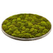 48" Artificial Moss Wall Decor With Wood Frame -Green - AA0058-GR