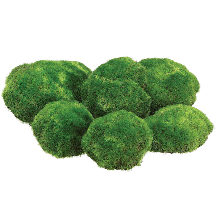9.5" Bagged Assorted Moss Bun-Shaped Artificial Topiary (pack of 6) - AA1105-GR