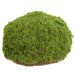 10" Moss Bun Artificial Topiary -Green (Pack of 6) - AA1214-GR