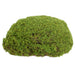 14" Moss Bun Artificial Topiary -Green (Pack of 6) - AA1216-GR