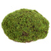 7.5" Moss Bun Artificial Topiary -Green (Pack of 12) - AA1218-GR
