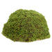 11" Moss Bun Artificial Topiary -Green (Pack of 12) - AA1220-GR