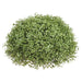 9.5" Wide Mini Boxwood Dome-Shaped Artificial Topiary -Green (pack of 6) - AA3350-GR