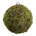 12" Moss & Lichen Ball-Shaped Artificial Topiary -Green/Brown (Pack of 4) - AA4653-GR/BR