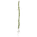 5'11" Moss Artificial Vine Garland -Green (Pack of 12) - AA5029-GR