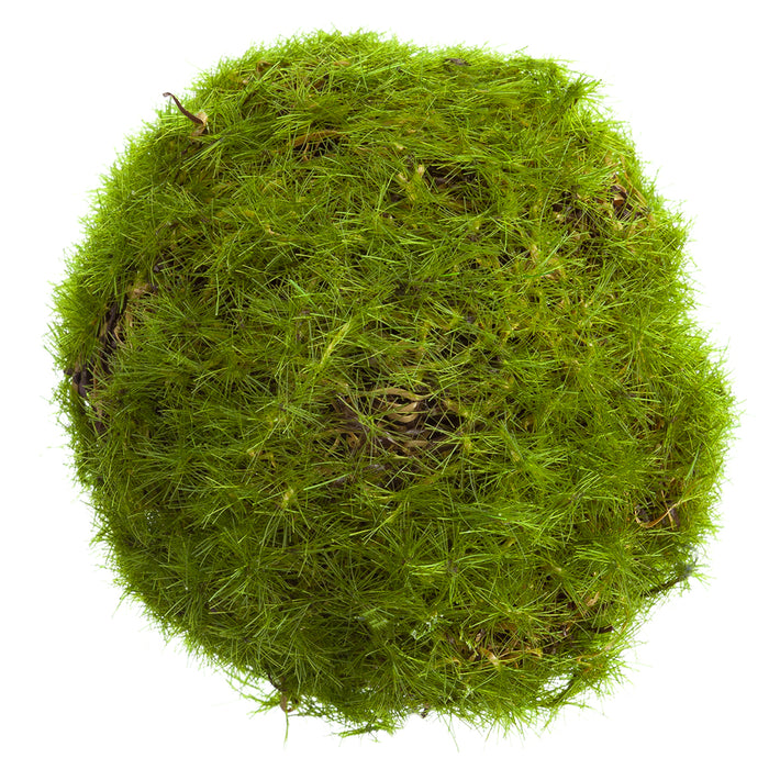 2.5" Artificial Moss Ball-Shaped Topiary -Green (pack of 12) - AA5818-GR
