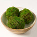 4" Artificial Moss Ball-Shaped Topiary -Green (Pack of 12) - AA5819-GR
