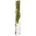 14" Artificial Moss Covered Birch Branch -Beige/Green (pack of 12) - AA6017-BE/GR