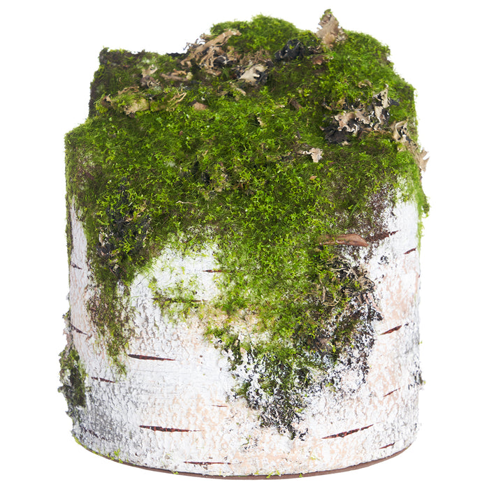 7 Artificial Moss Covered Birch Log -Beige/Green — Silks Are Forever