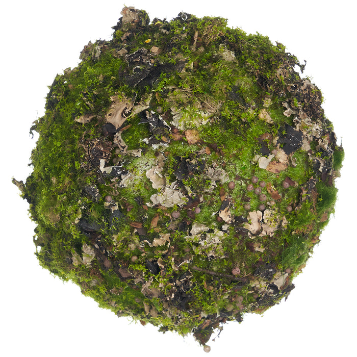6" Moss & Lichen Ball-Shaped Artificial Topiary -Green/Brown (pack of 6) - AA6052-GR/BR