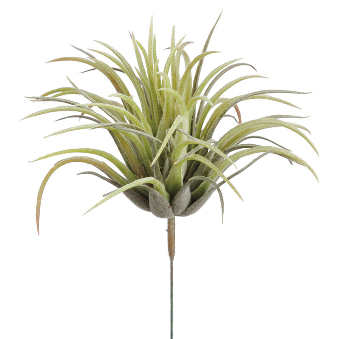 7.5" Easter Grass Artificial Stem Pick -Dark Green (Pack of 72) - AA6430-GR/DK