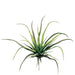 12.5" Medium Tillandsia Cactus Artificial Plant Stem -Green (pack of 24) - AA6752-