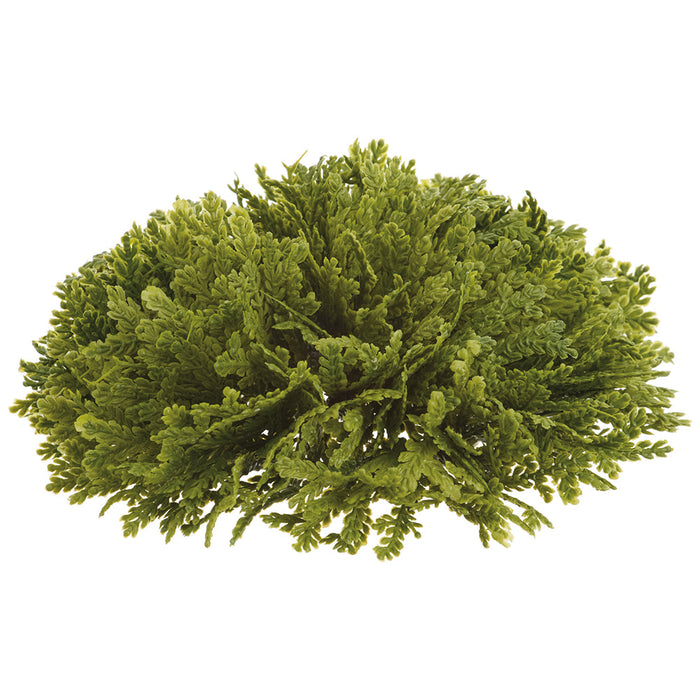 7" Wide Spike Moss Half Ball-Shaped Artificial Topiary -Green (Pack of 6) - AAF076-GR