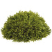9" Wide Spike Moss Half Ball-Shaped Artificial Topiary -Green (Pack of 4) - AAF077-GR