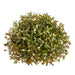 8" Half Ball Artificial Myrtle Topiary -Green (Pack of 6) - AAF381-GR