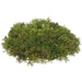 9" Moss Artificial Mat -Moss Green (pack of 6) - AAM003-GR/MO