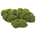 5.5" Bagged Assorted Mood Moss Bun-Shaped Artificial Topiary (pack of 6) - AAM455-GR