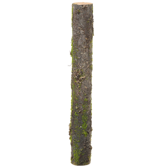 24" Artificial Moss Covered Branch -Brown/Green (Pack of 8) - AAS209-GR