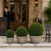19" Outdoor UV-Resistant Artificial Tea Leaf Ball-Shaped Topiary w/10" Pole -Green (Pack of 2) - AAT531-GR