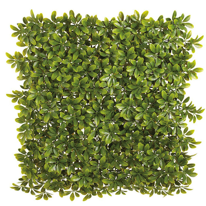 19.5"x19.5" Outdoor UV-Resistant Artificial Spike Moss Mat -Green (Pack of 12) - AAZ326-GR