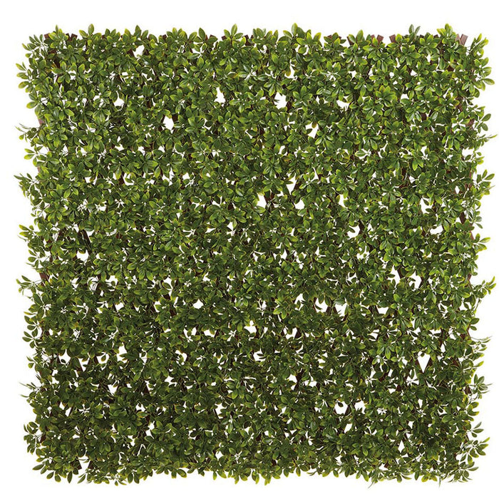 78.5"x39" Outdoor UV-Resistant Artificial Boxwood Trellis Mat -Green (Pack of 4) - AAZ327-GR