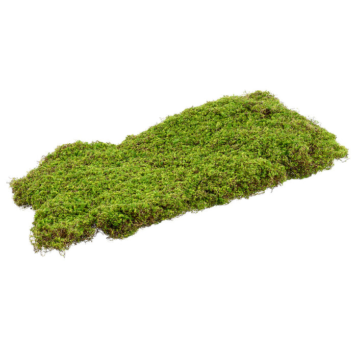 25.5"x15.5" Artificial Plastic Moss Mat -Green (Pack of 6) - AAZ388-GR