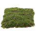 23.5"x15.5" Artificial Plastic Moss Mat -Green (Pack of 12) - AAZ688-GR