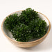4" Boxwood Ball-Shaped Artificial Topiary (pack of 24) - ADB104-GR