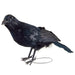 6.75" Standing Halloween Crow -Black (pack of 12) - AFZ164-BK