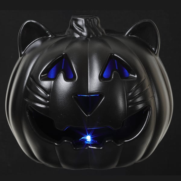 9" Battery Operated Halloween Cat With Light -Black (Pack of 6) - AFZ209-BK
