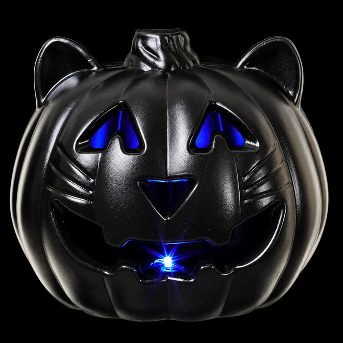 9" Battery Operated Halloween Cat With Light -Black (Pack of 6) - AFZ209-BK