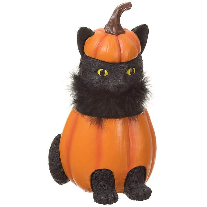 NEW 2024 Assorted Spooky Cats and Pumpkins