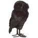 12" Halloween PVC Sisal Owl -Black (Pack of 4) - AFZ445-BK