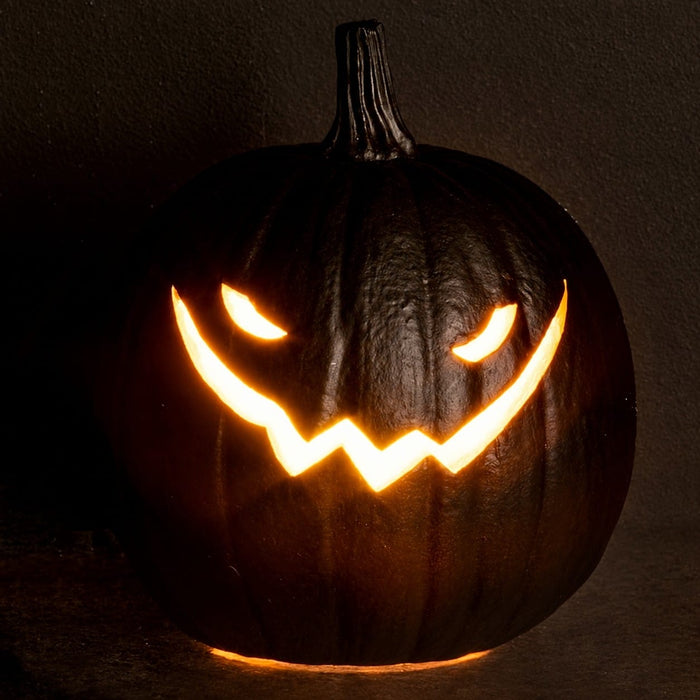 7"Hx6.2"W Battery Operated Halloween Jack-O-Lantern Pumpkin With Light -Black (Pack of 4) - AFZ556-BK