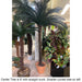 6' CUSTOM MADE UV-Proof Outdoor Large Artificial Sago Cycas Palm Tree -36 Fronds -Green - AP-82506