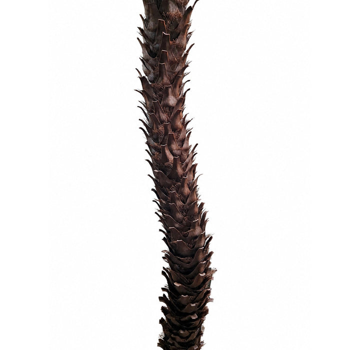 11' Custom-Made Outdoor UV-Proof Large Artificial Sago Cycas Palm Tree -36 Fronds -Green - AP-82511