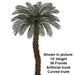 5' CUSTOM MADE UV-Proof Outdoor Large Artificial Sago Cycas Palm Tree -36 Fronds -Green - AP-82505