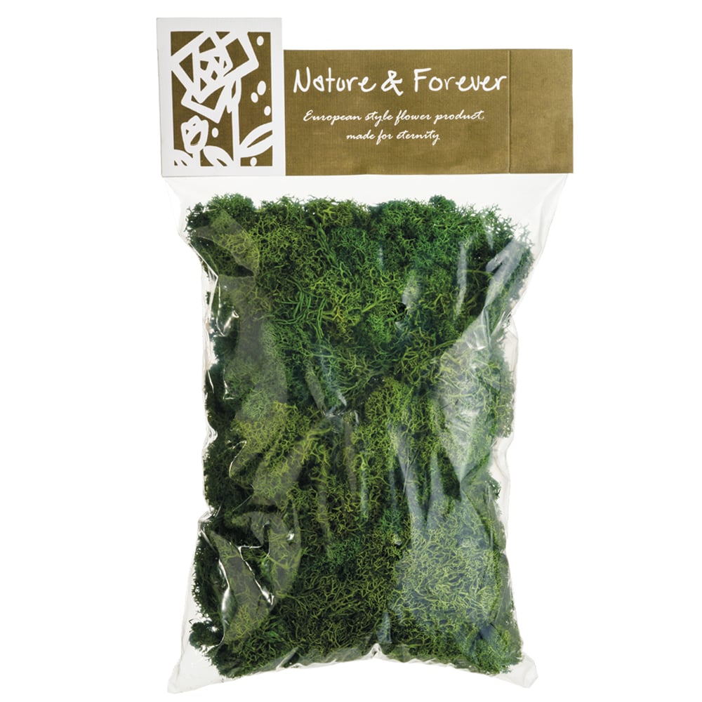 10.5 Assorted Preserved Reindeer Moss in Bag (170 Grams/Bag) Green 6 Pieces APS080-GR