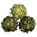 4.3" Preserved Artichoke Ball -Green (pack of 18) - APS290-GR