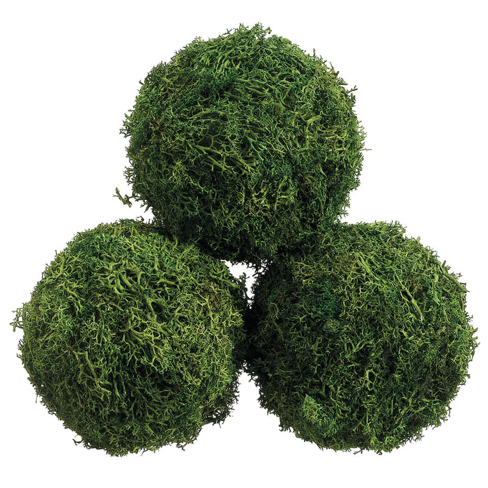 4.3" Preserved Sphagnum Moss Ball-Shaped Topiary -Green (pack of 18) - APS312-GR
