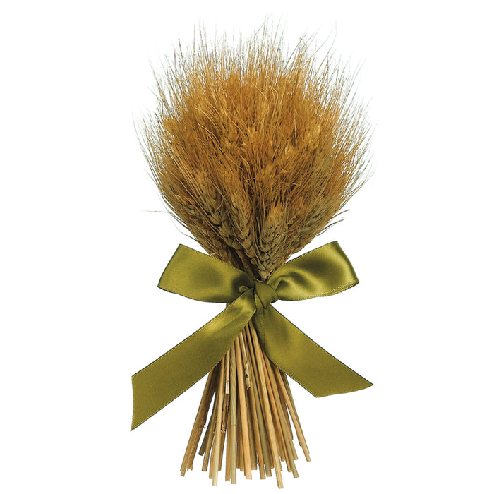 9.5" Preserved Wheat & Grass Standing Arrangement -Natural (pack of 12) - APS352-NA